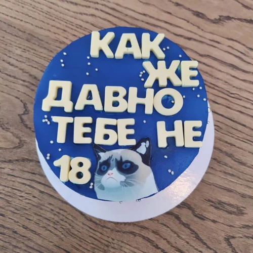 Бенто торт #1963 с шоколадными буквами и картинкой грустного котика 700 г, синий