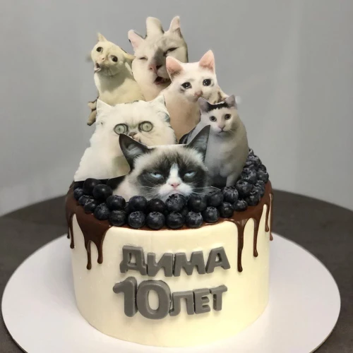 Торт для мальчиков #2783 с ягодами и картинками кот мем, белый